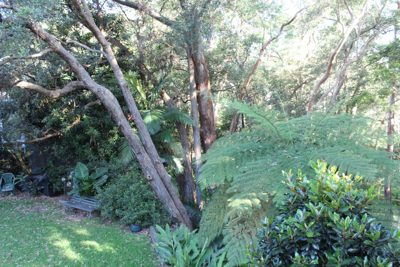 Bushland Setting Close To Sydney Cbd- Stand Alone Apartment מראה חיצוני תמונה